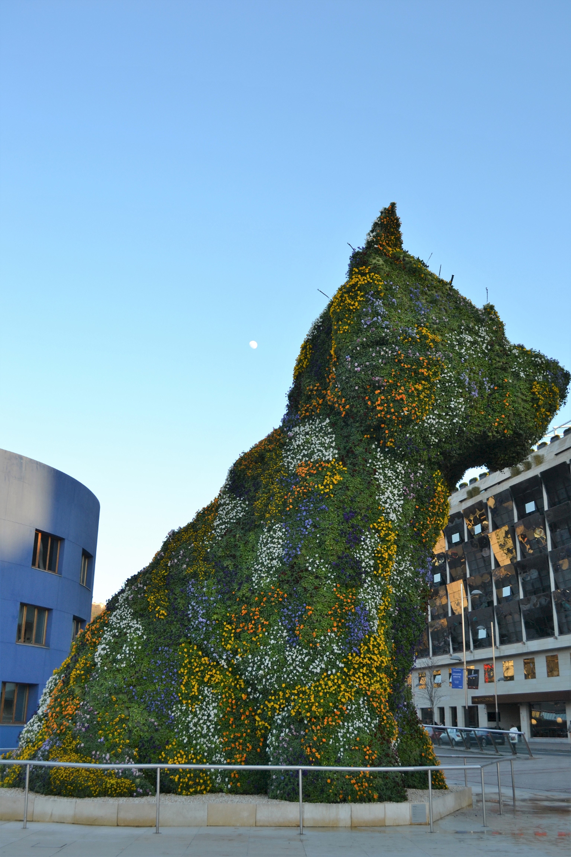 Puppy di Jeff Koons a Bilbao