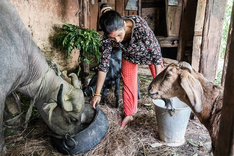giornata mondiale dell'alimentazione 2017