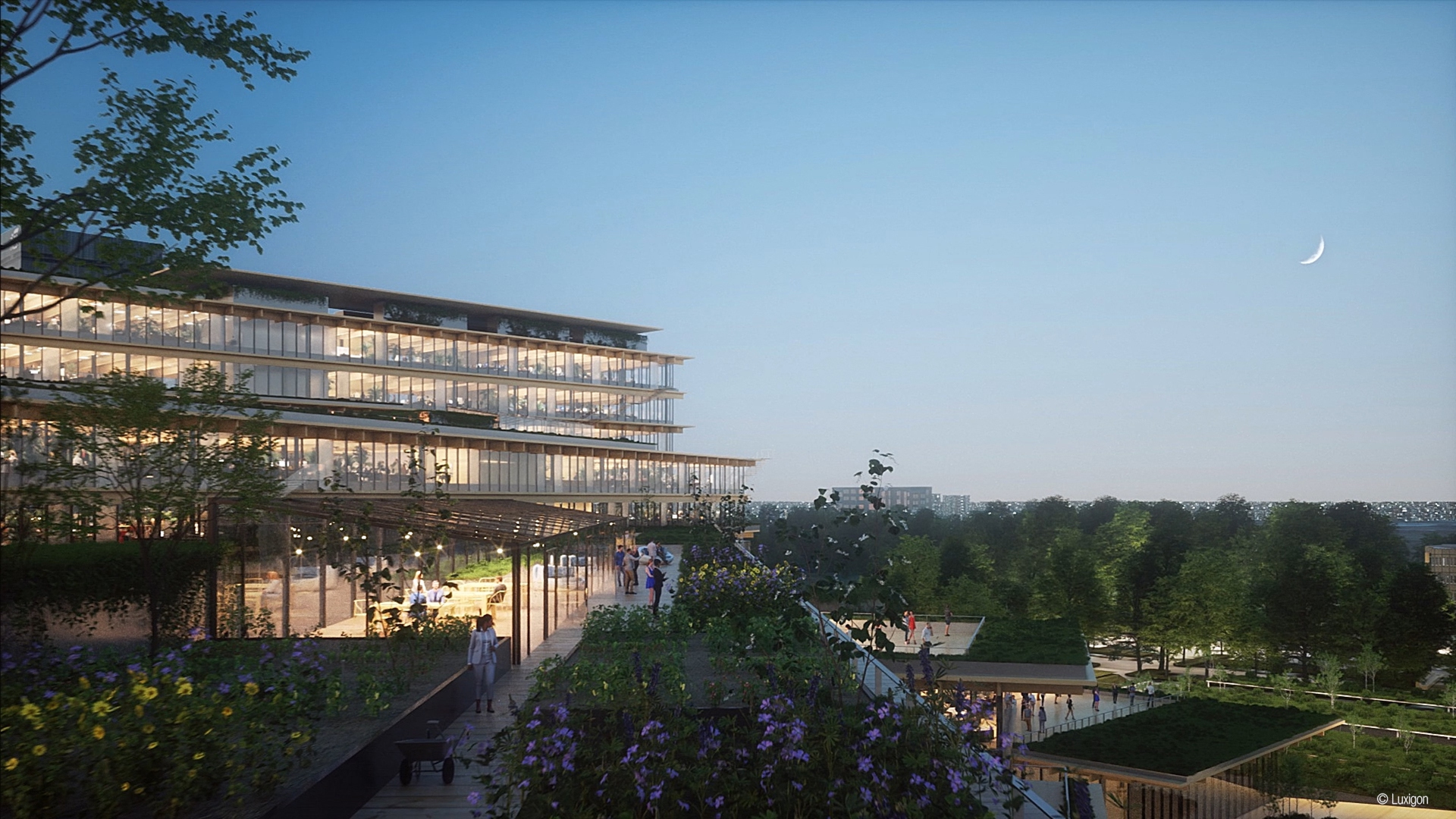 Welcome feeling at work_Nigth_Green House