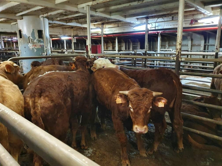 Una foto scattata a bordo della Karim Allah