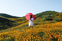 Vivere a colori le proprie emozioni