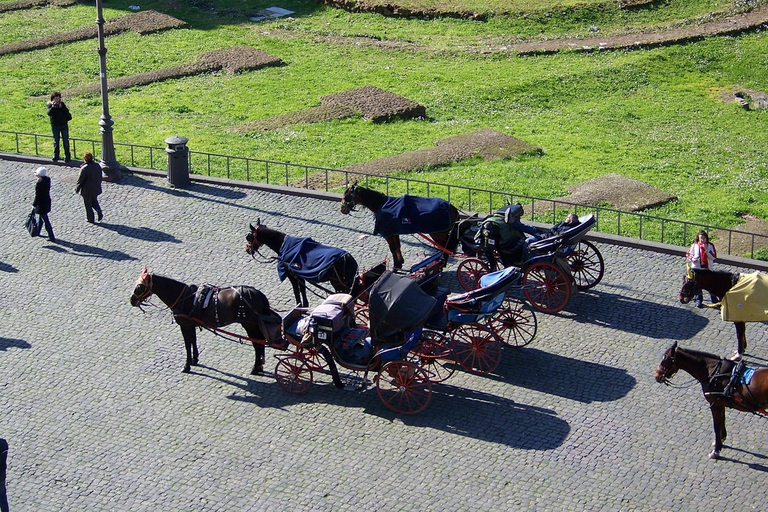Chicago vieta la circolazione di carrozze trainate da cavalli
