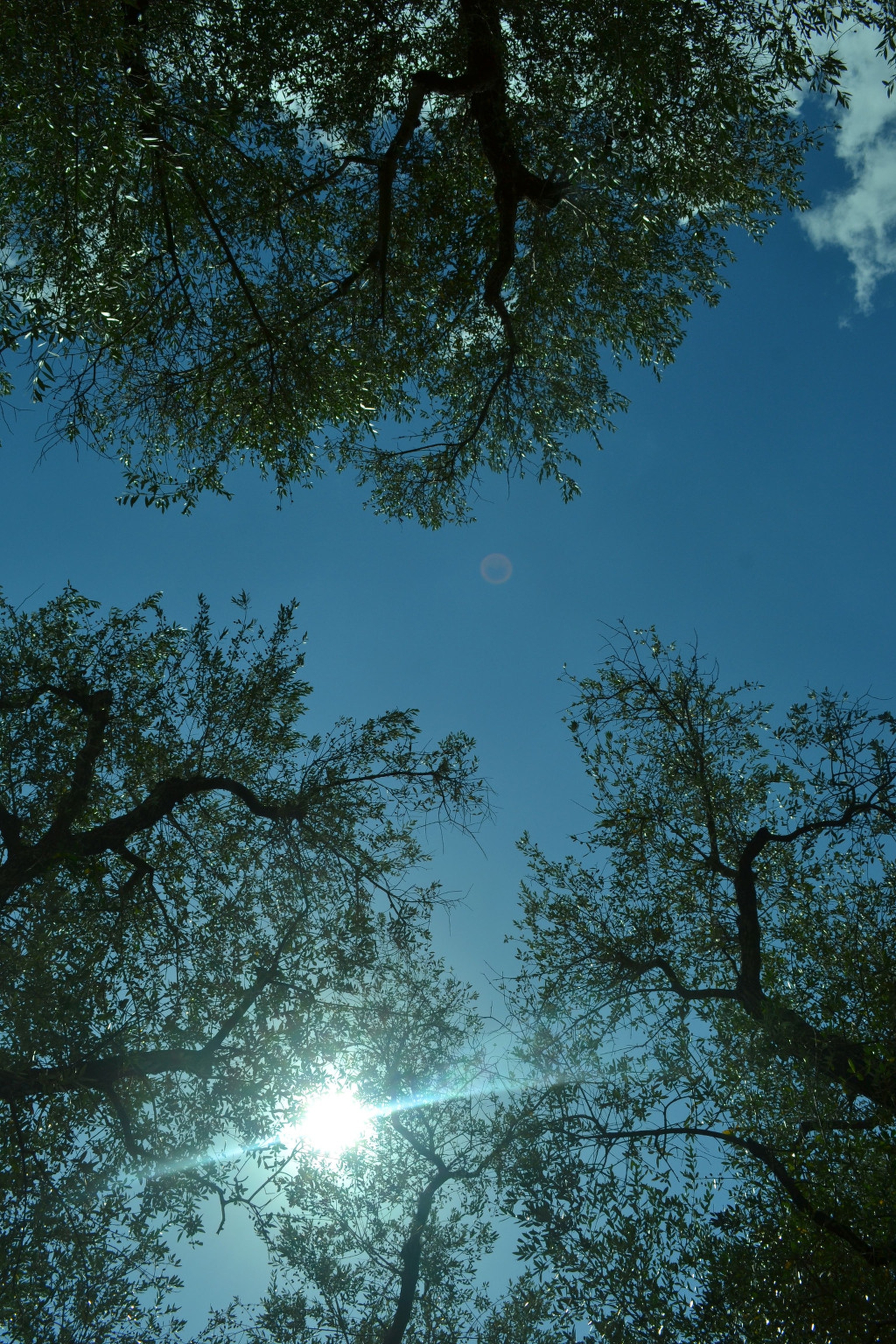 South Lambeth Road, London