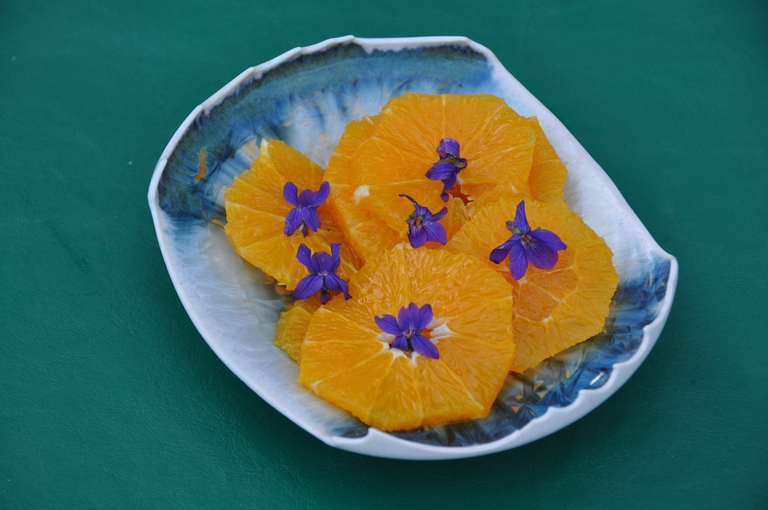 wild violets herbs cooking