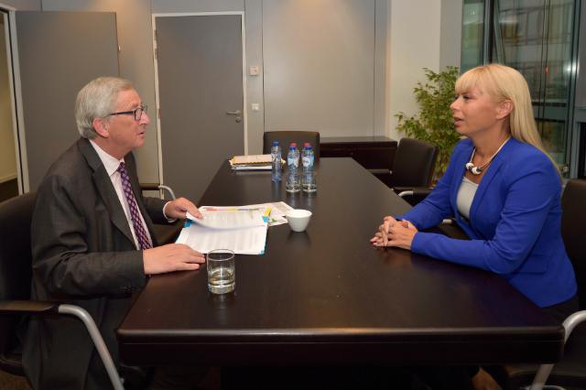 commissioner-candidates-elzbieta-bienkowska
