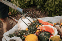 Chi è davvero responsabile dello spreco alimentare?