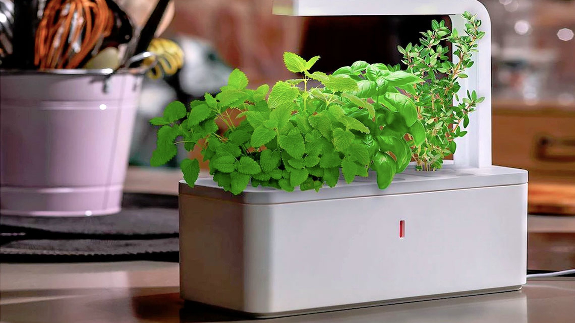 Домашний огород. IGARDEN умный сад. Click and grow Smart Herb Garden базилик. Умный сад. Проращиватель для микрозелени с лампой. Гидропонная система Kitchen Garden.