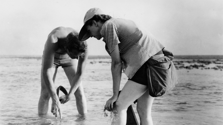 rachel-carson-primavera-silenziosa