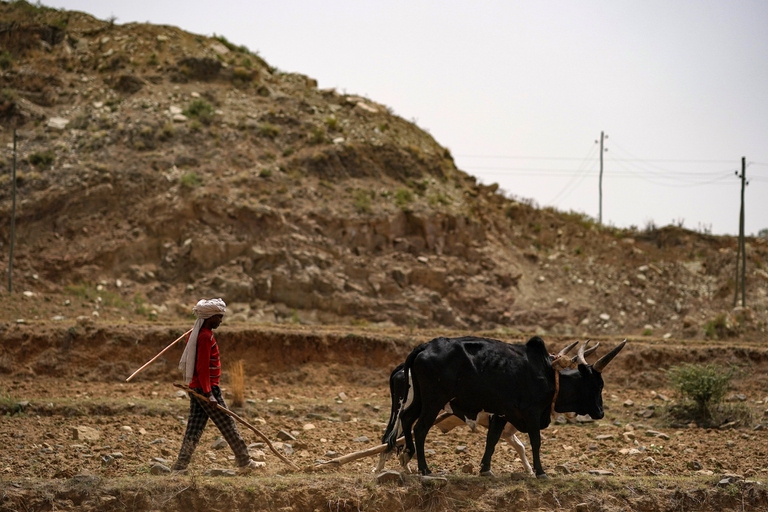 La siccità in Etiopia fa aumentare i matrimoni precoci