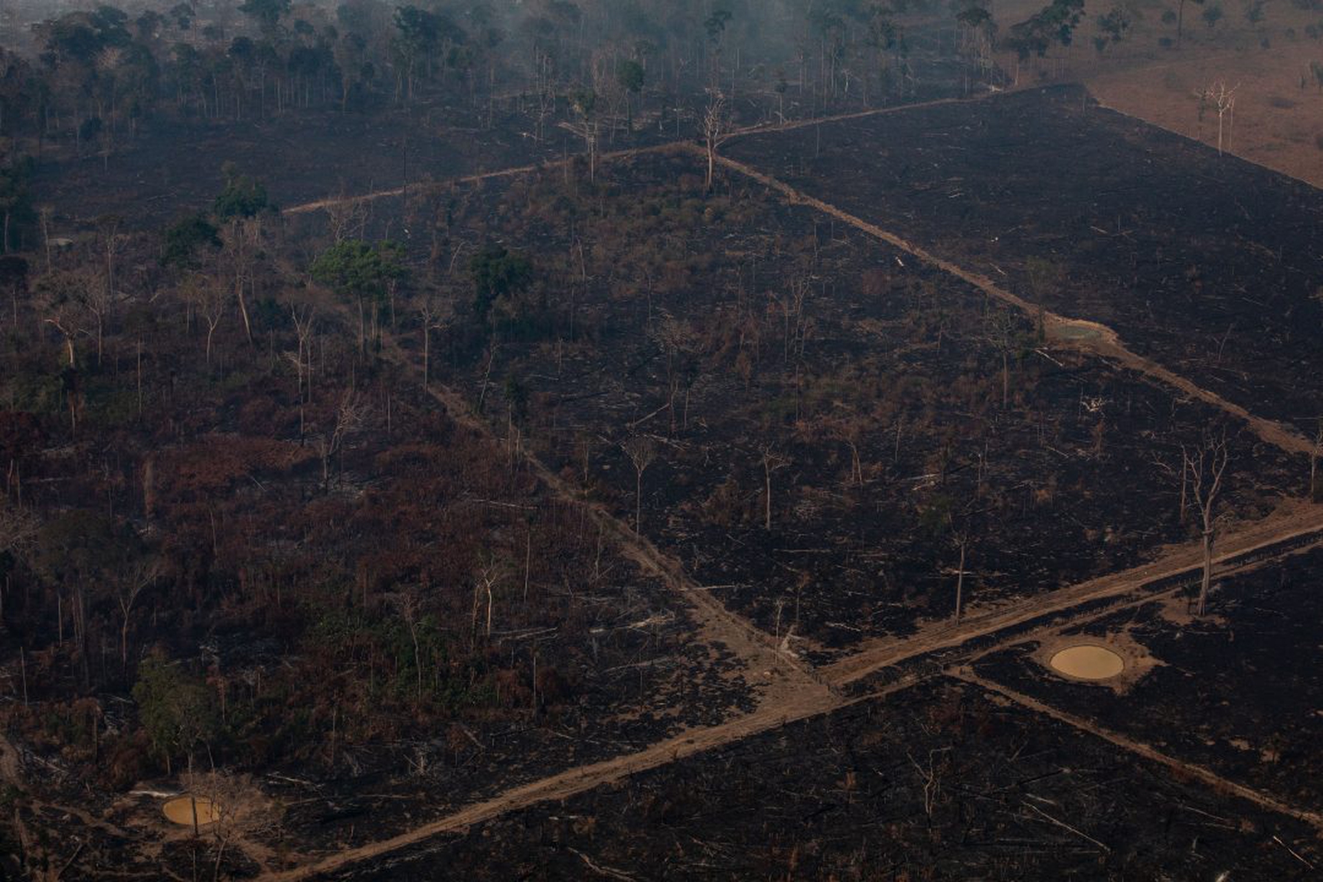 Amazzonia, la deforestazione è esplosa con Bolsonaro. Ma viene da lontano