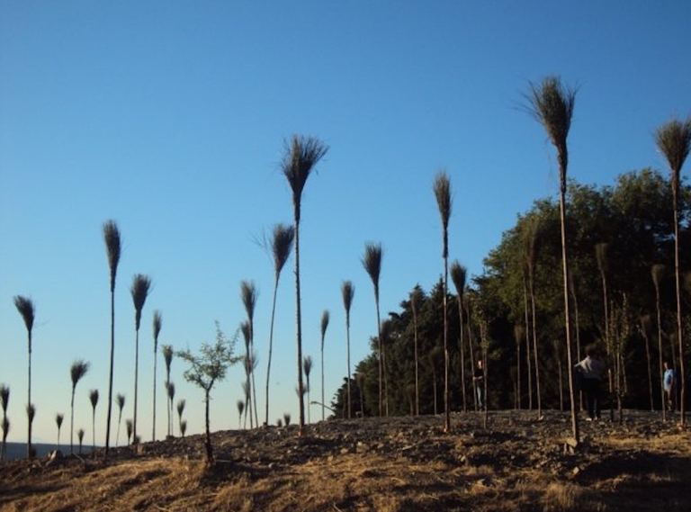 arte parco pollino basilicata