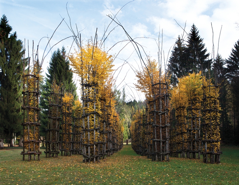 All'interno di Arte Sella un'opera di Giuliano Mauri "Cattedrale vegetale"