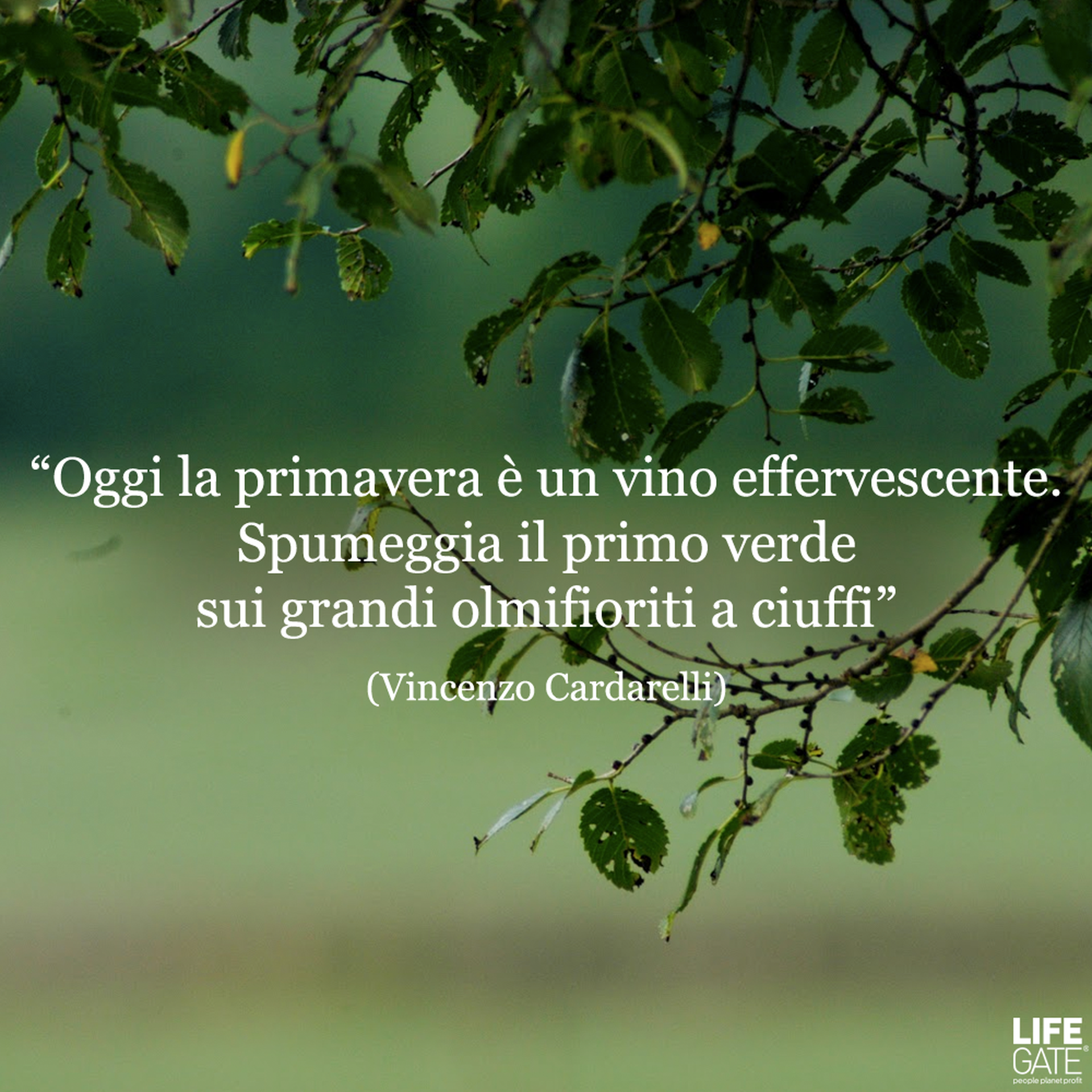 Una giornata tutta di poesia