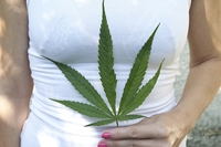 Rimedi naturali per il dolore mestruale, c’è anche il tampone alla cannabis