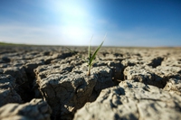 No rain and drought grab Italy by the throat. And winter feels like summer