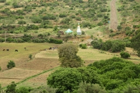 Etiopia da record, piantati 350 milioni di alberi in un giorno contro la crisi climatica