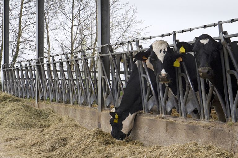 direttiva emissioni industriali