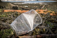 Dasvidania plastica: la Russia dice addio ai prodotti plastici monouso