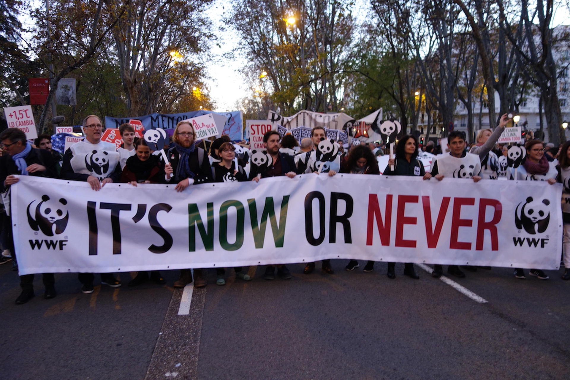 Madrid, il corteo dei giovani di Fridays for Future2