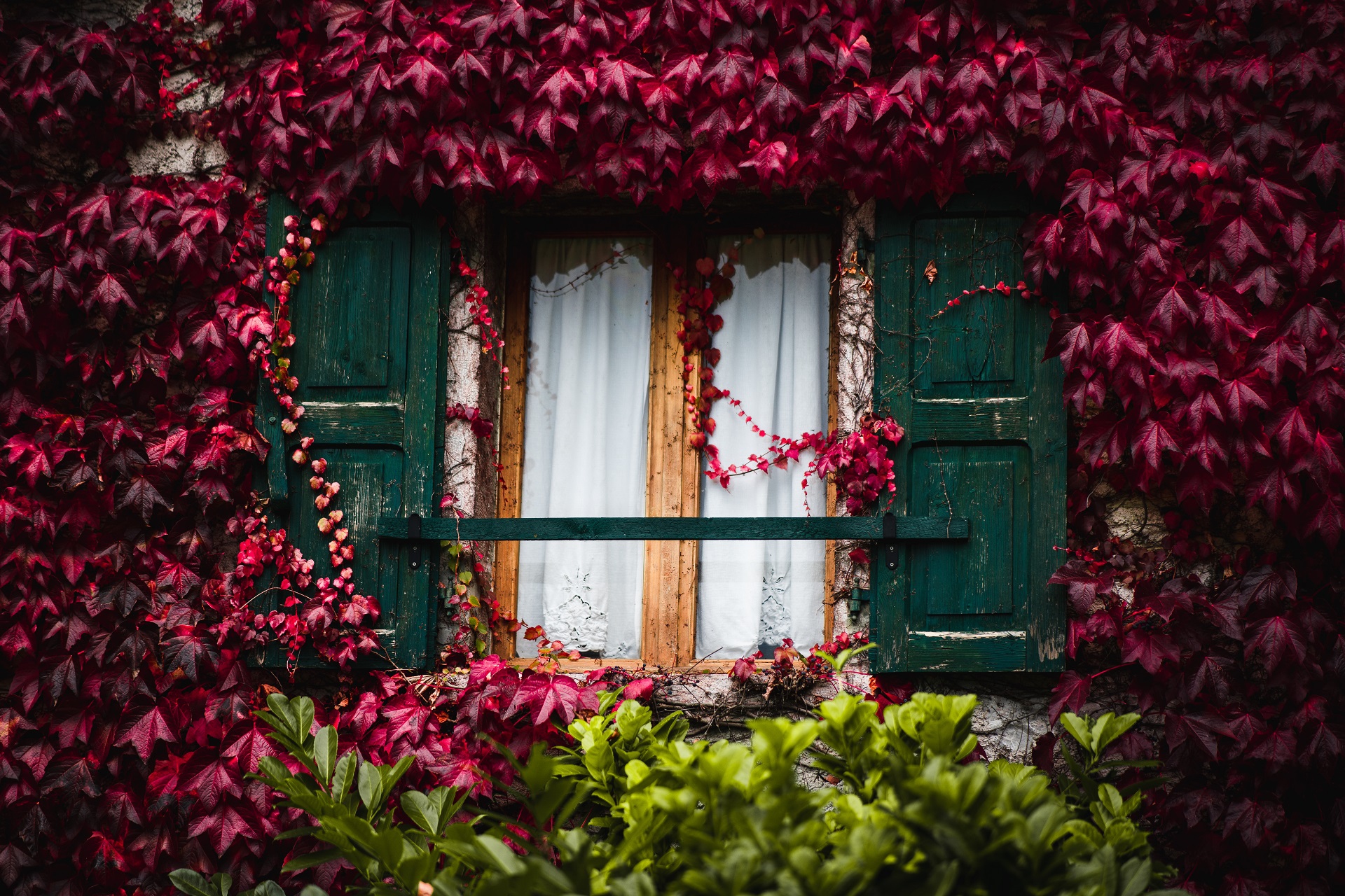 MolIne Deggia San Lorenzo