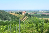 Nel distretto della frutta di Saluzzo, dove l’agricoltura di comunità sfida il caporalato