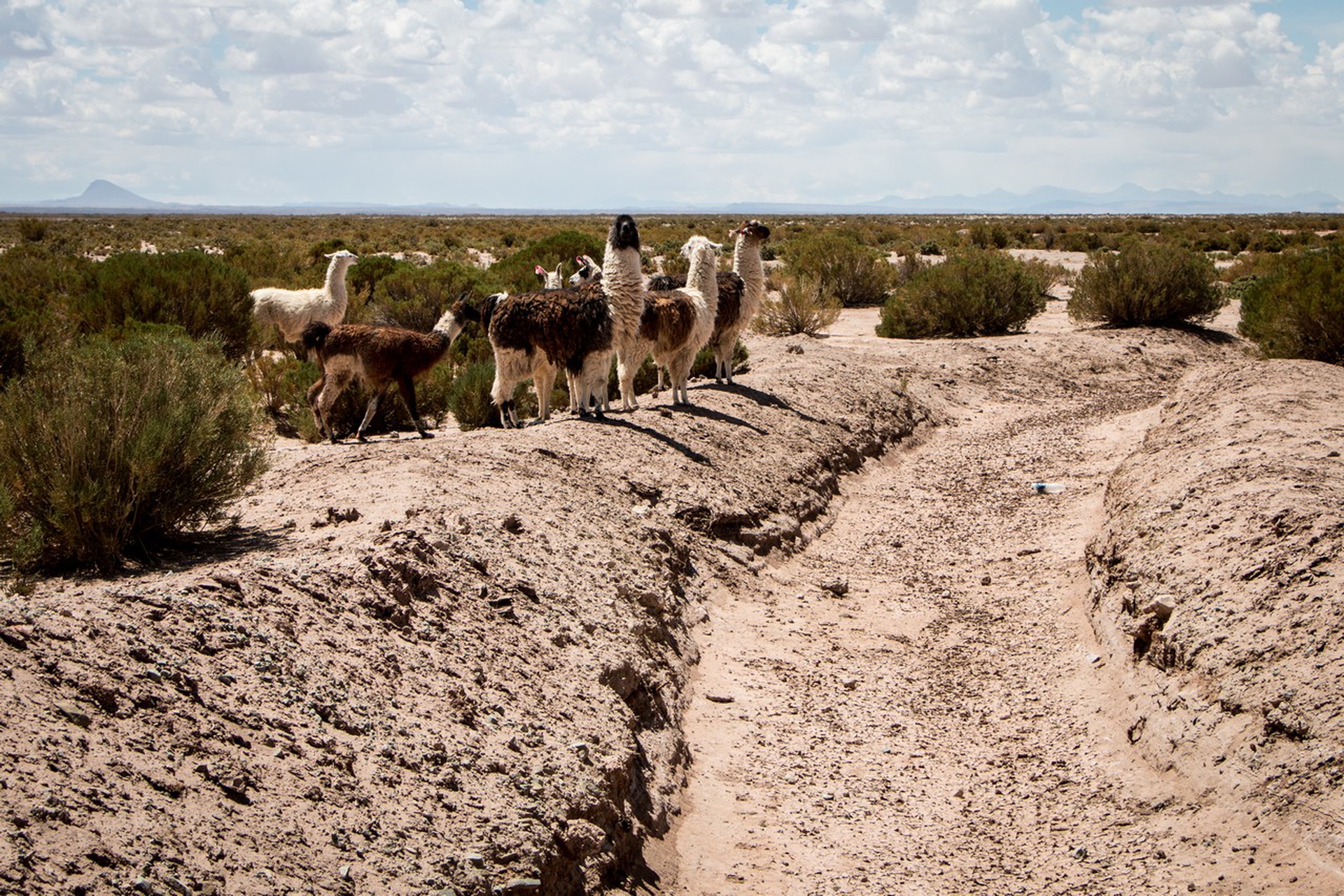 Cambiamenti climatici in Perù, domenica a Presadiretta su Raitre