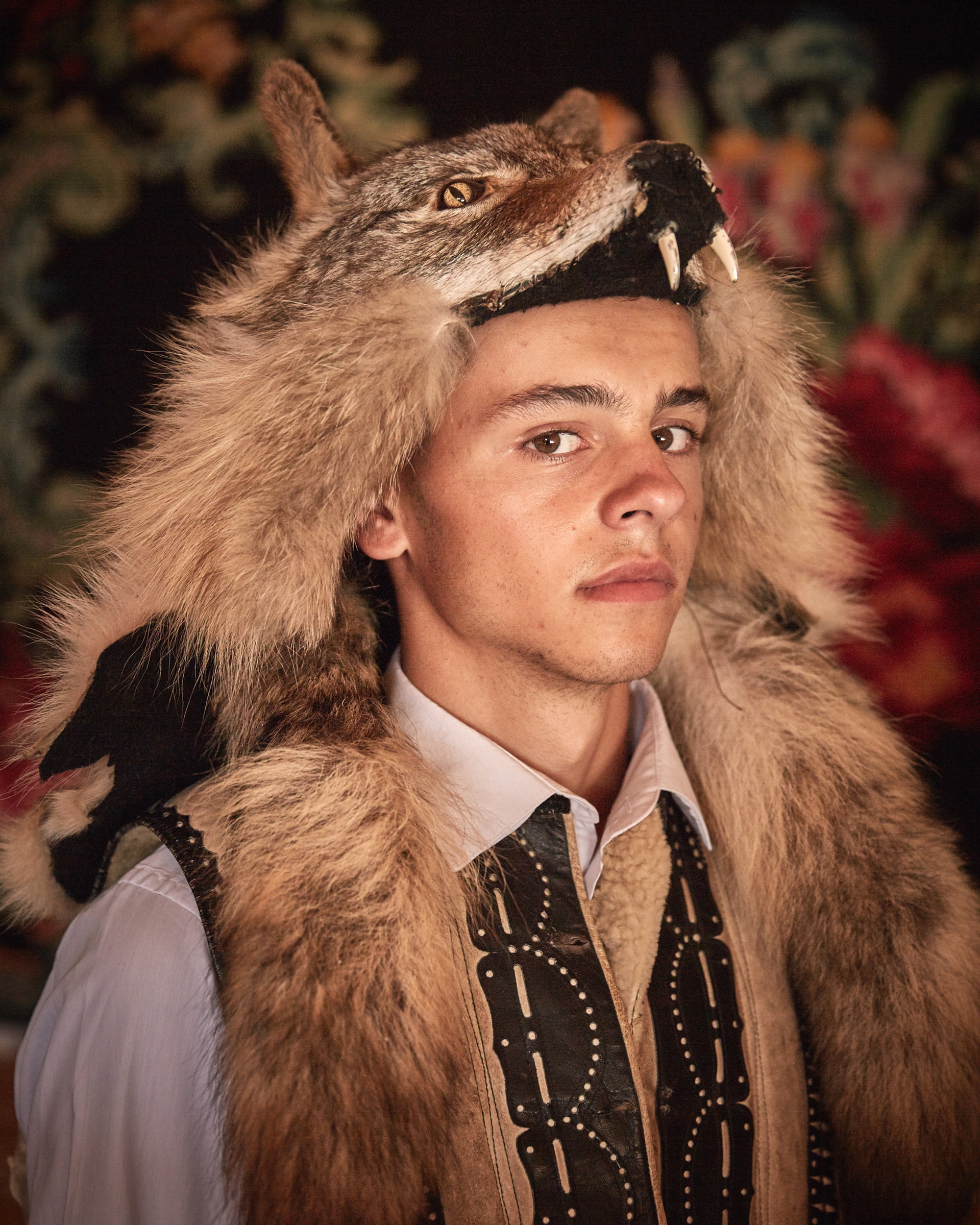 I discendenti dei lupi