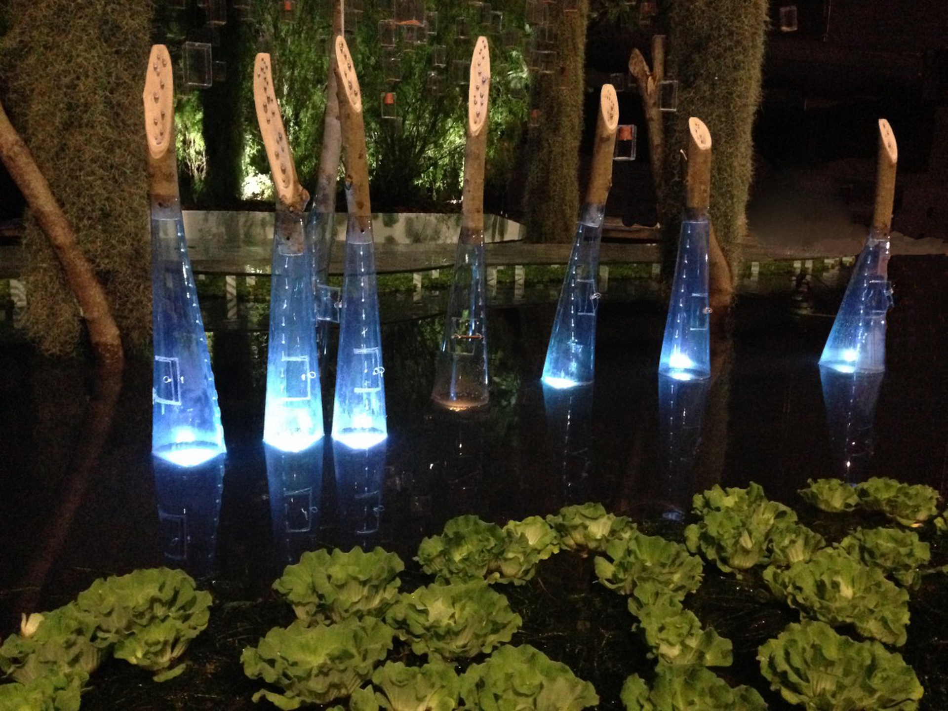 I pipenet nel giardino di Stefano Passerotti