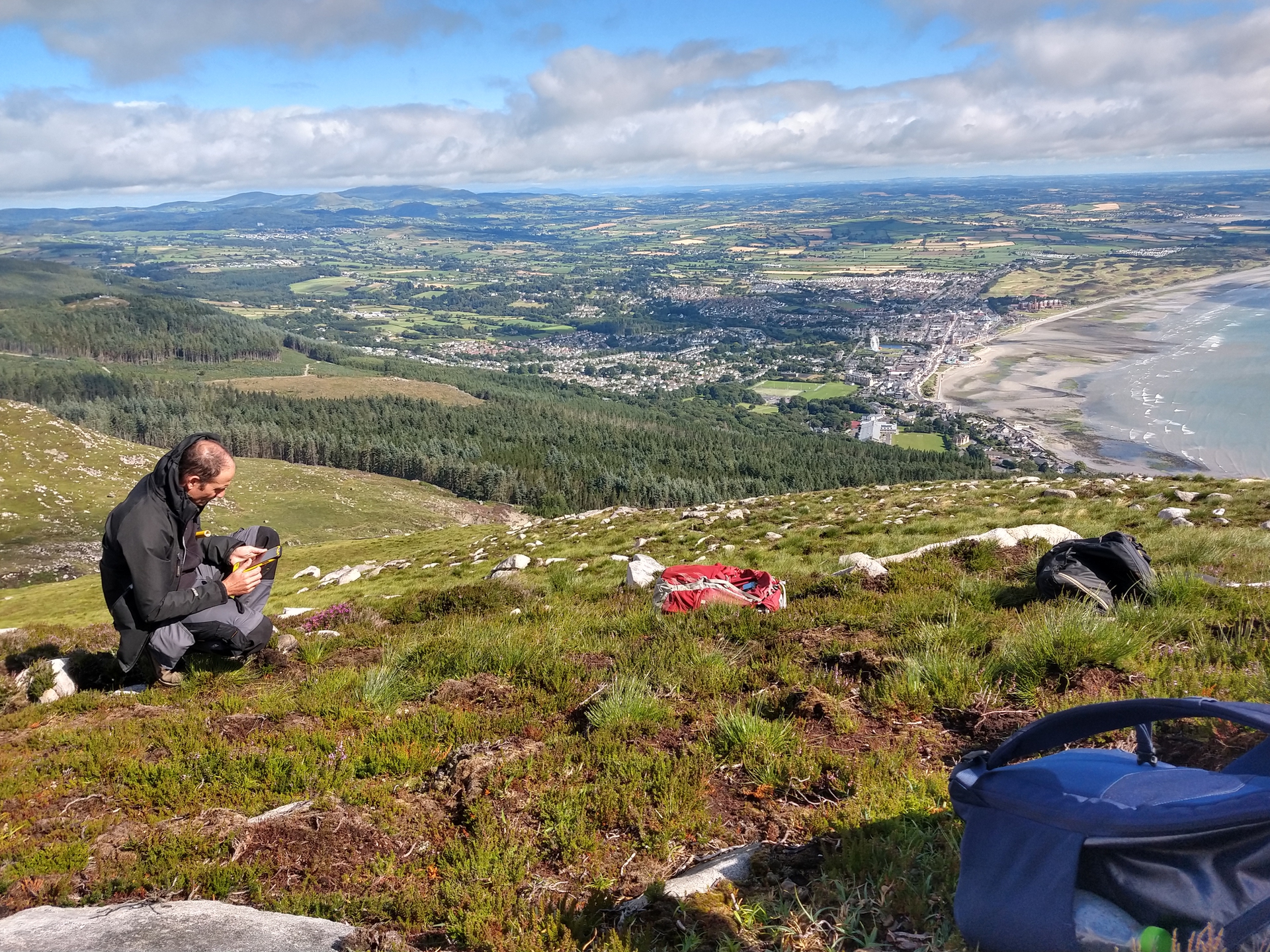 Wildlife Surveys in the Mournes