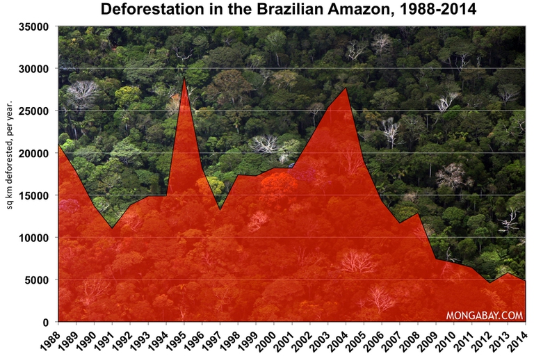 bras-deforestazione