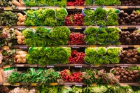 Lo spreco alimentare in Italia vale 15 miliardi di euro, l’1% del pil
