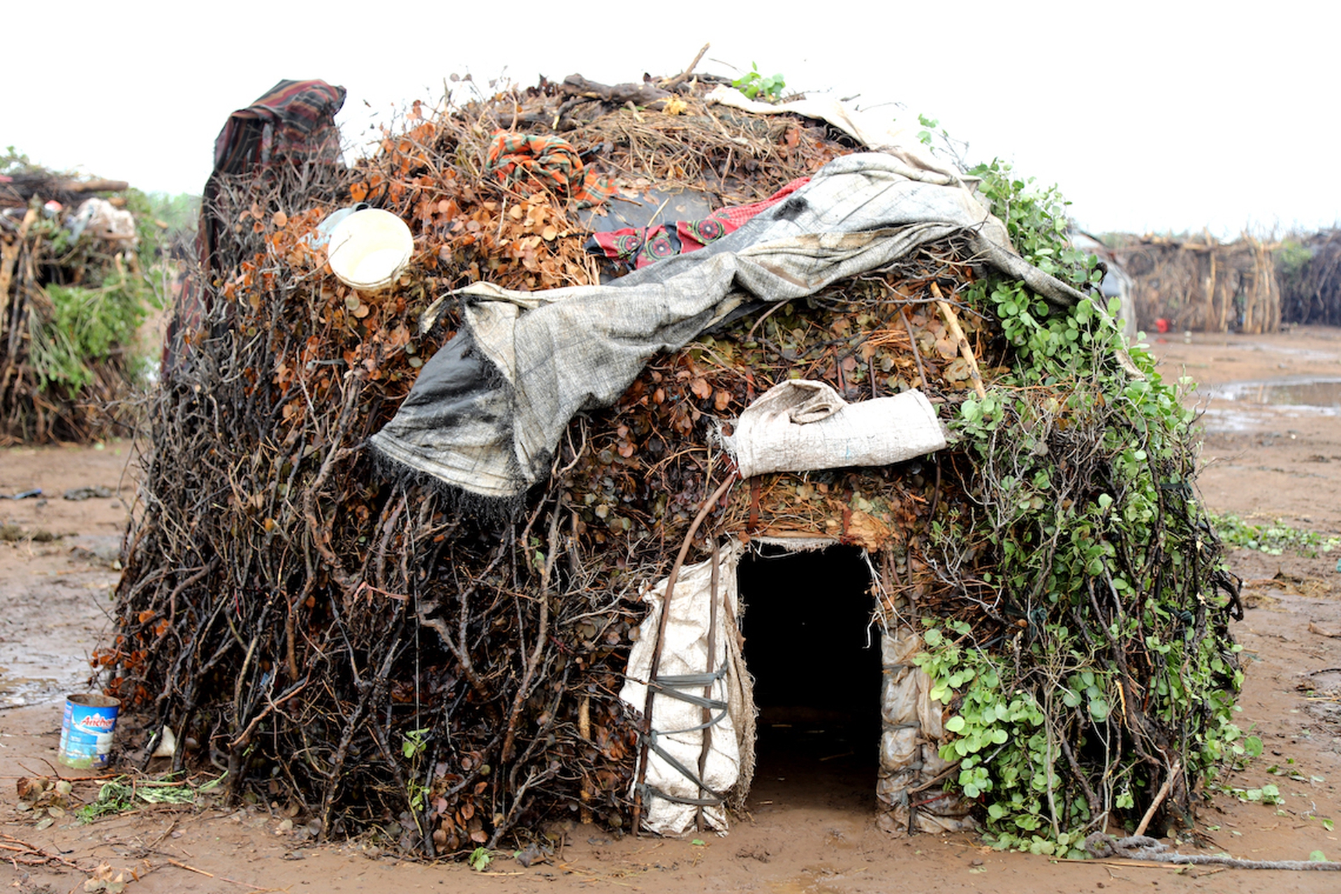 Indigenous groups of Ethiopia's Lower Omo Valley
