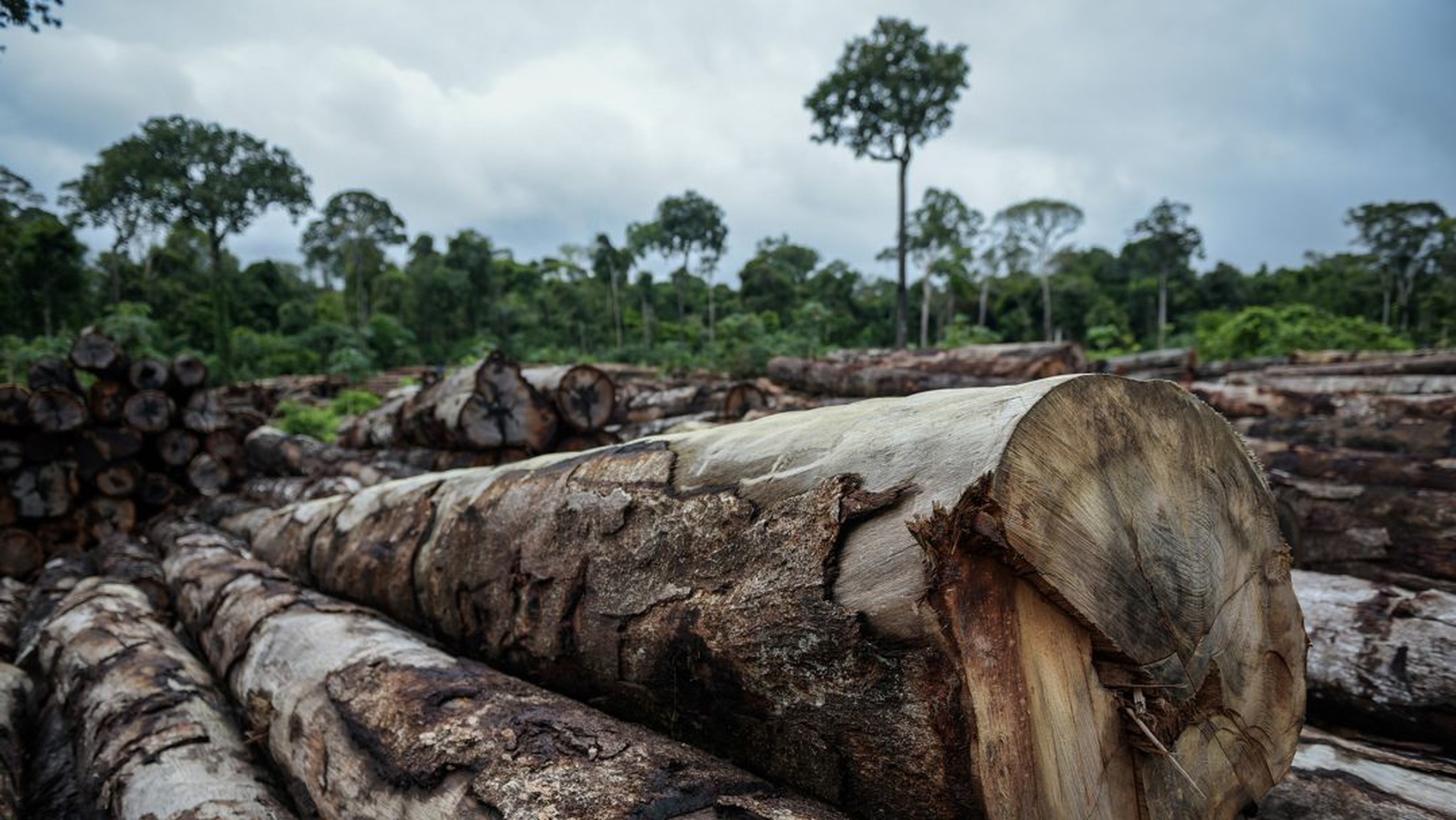 deforestazione-amazzonia