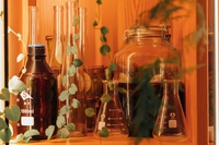 Moda fermentata: perché i batteri potrebbero rappresentare una soluzione per il tessile sostenibile