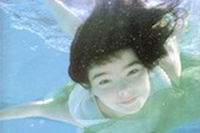 Bjork e i suoi bastards