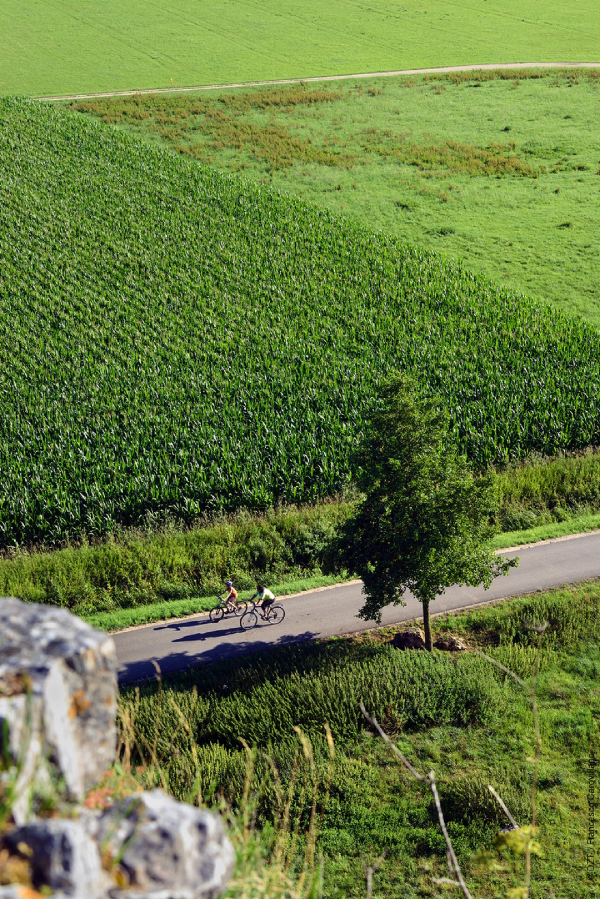Percorsi ciclabili in Germania