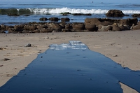Un oleodotto si rompe in California, fuoriusciti 400mila litri di petrolio