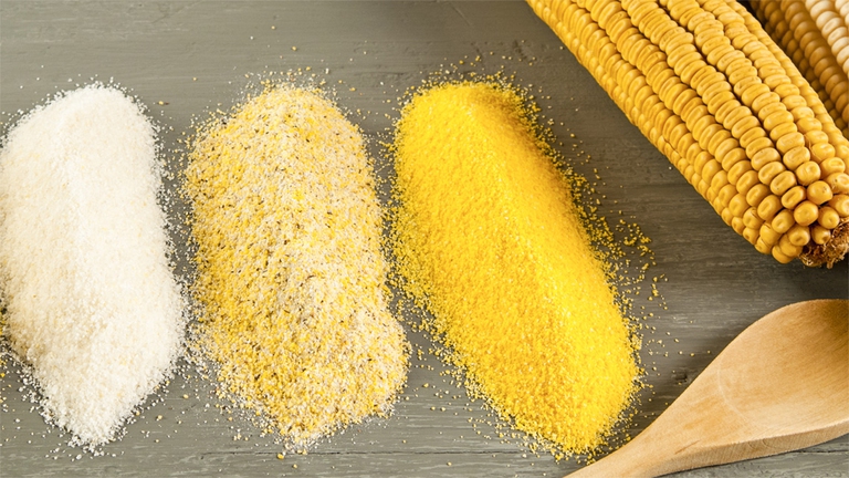 Esistono vari tipi di mais, ognuno da un aspetto e un sapore diverso alla polenta