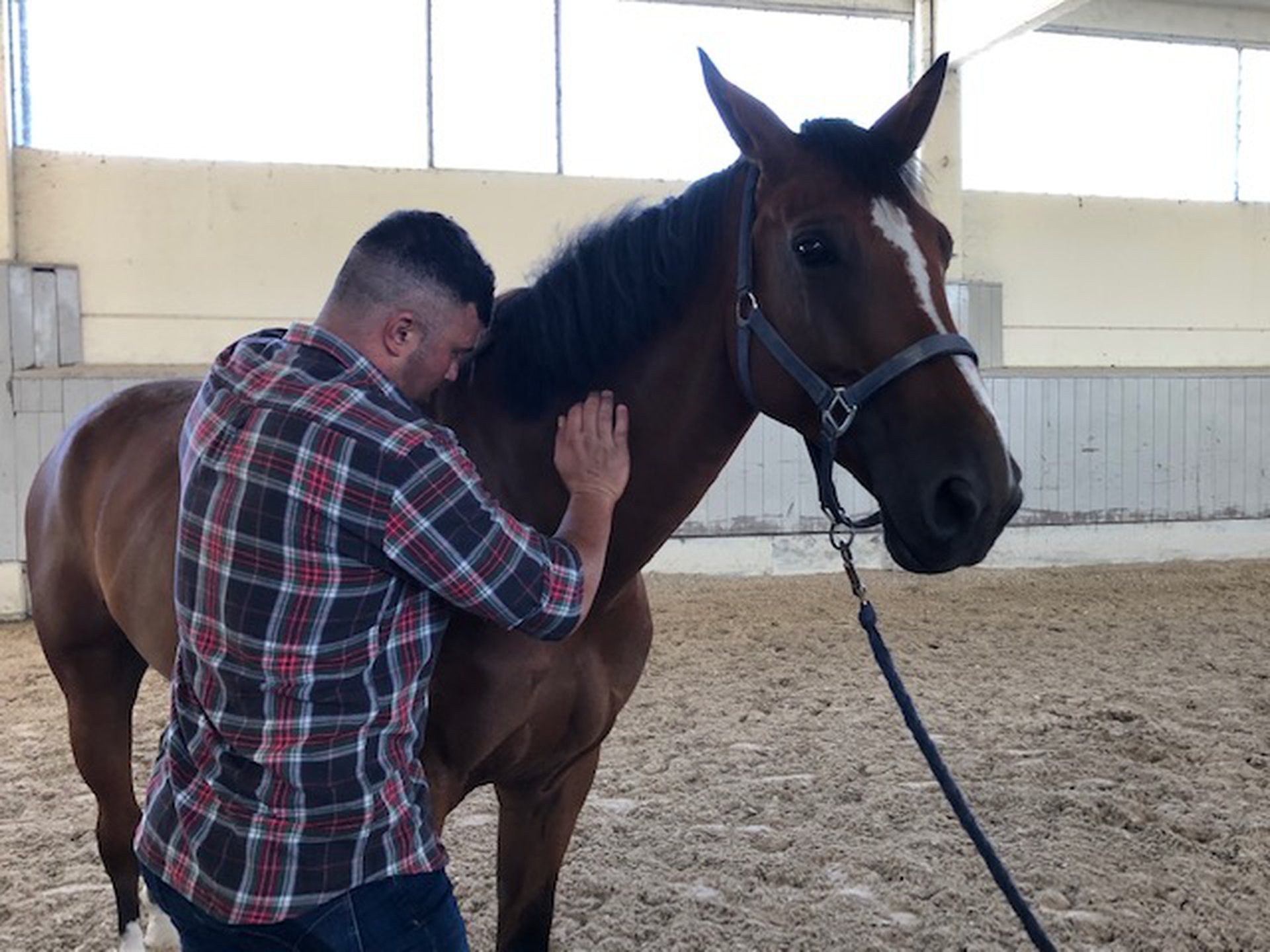 Osteopatia veterinaria