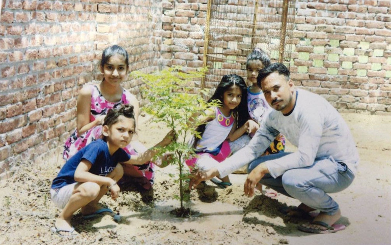 Ferozepur punjab india plating trees gun licences water crisis