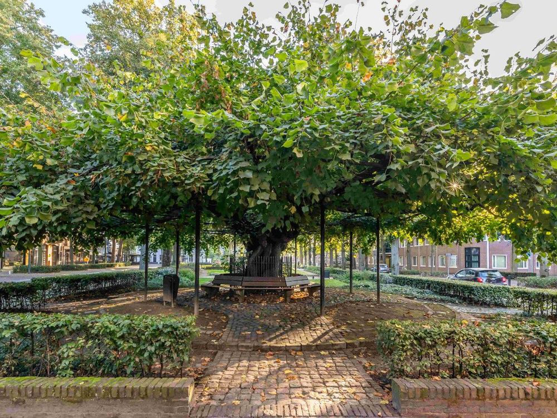 Netherlands_credit_Els_Oomis