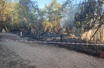 Roma, il sindaco Gualtieri dopo l’incendio che ha distrutto un asilo nel bosco: “Vi aiuteremo a ripartire”