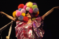 Björk, Patti Smith, Lykke Li in concerto per la Terra di Islanda