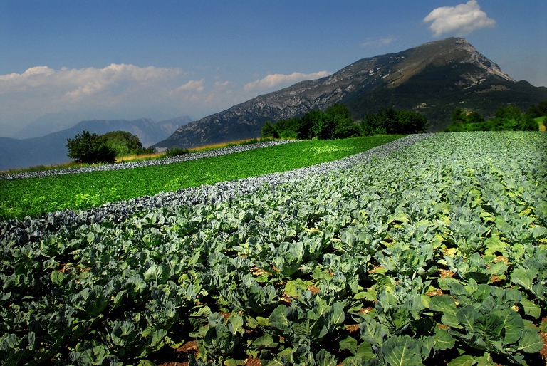 La Val di Gresta, l'orto bio del Trentino