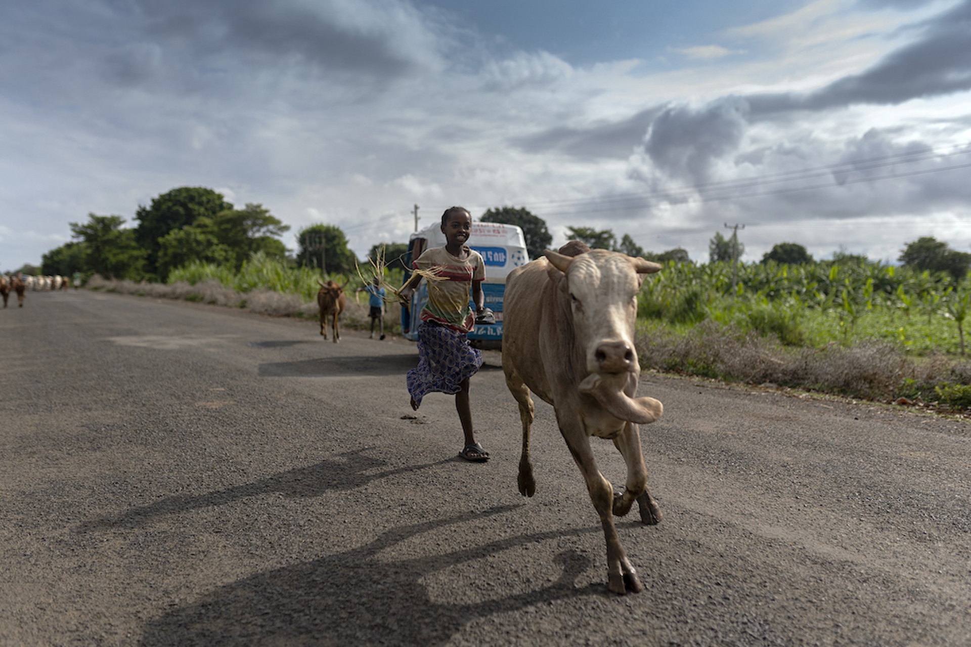 Ethiopia, the country of the Abiy Ahmed