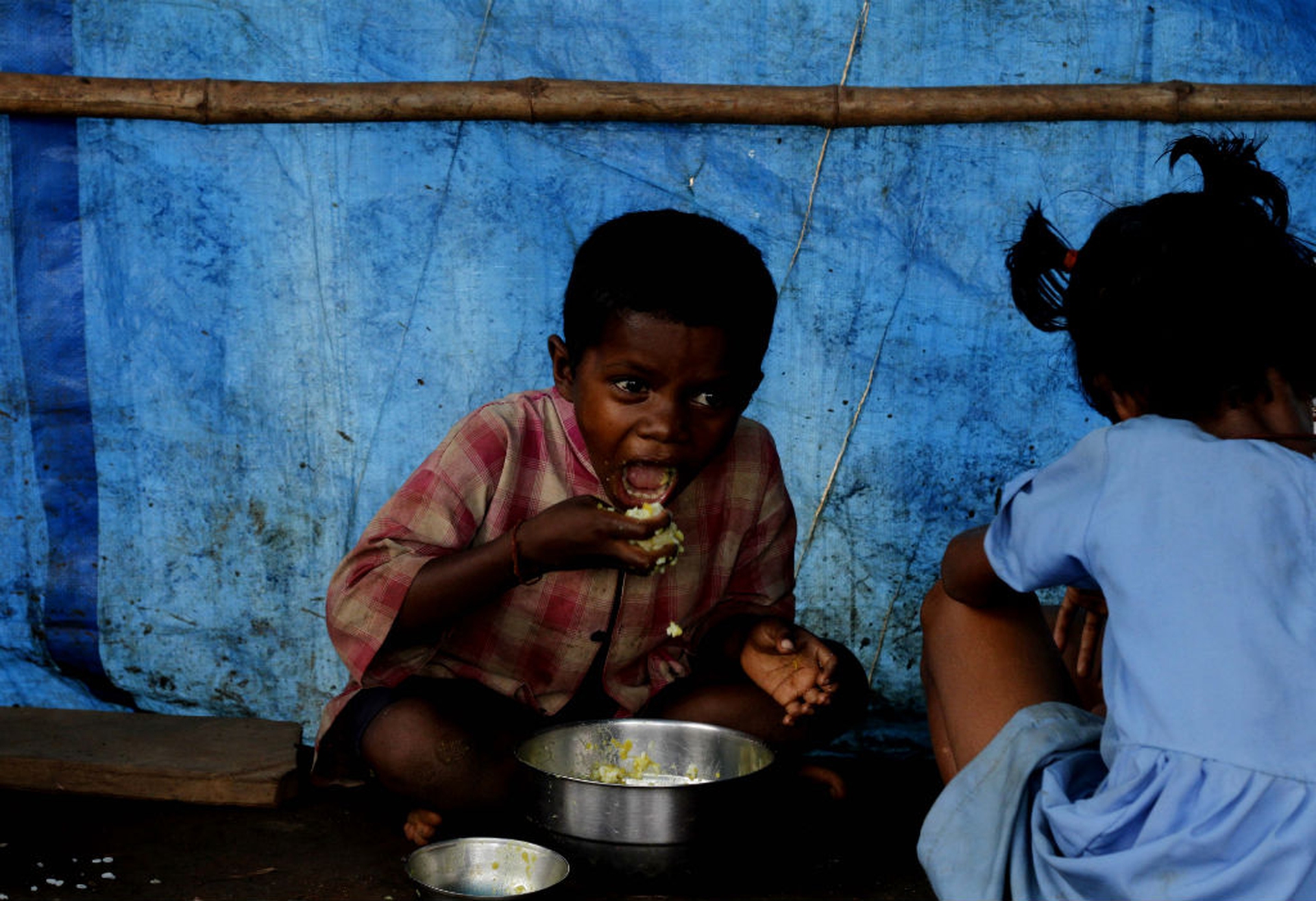 Food sustainable index, cibo sostenibile