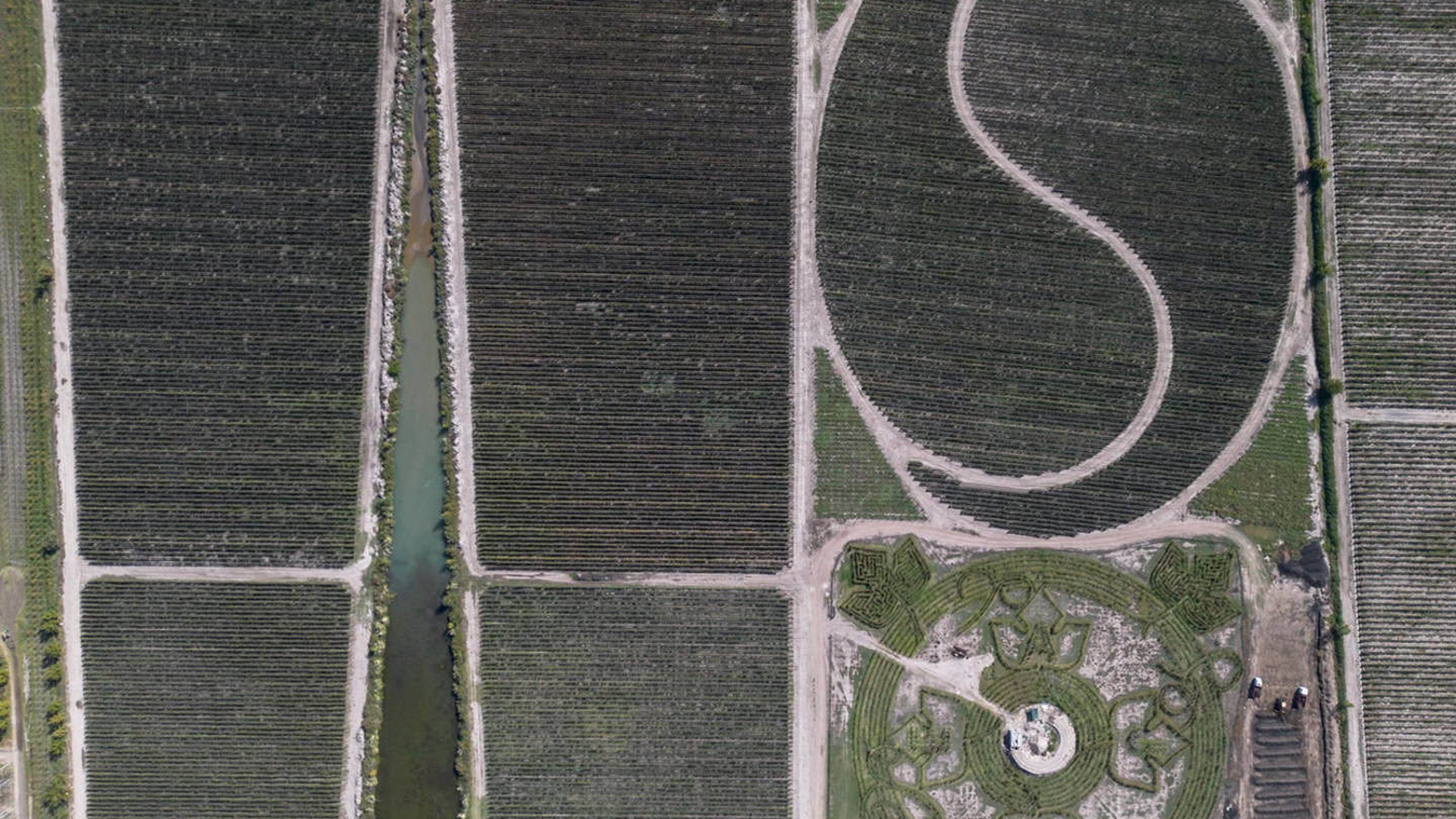 Vino y cambio climatico en Argentina