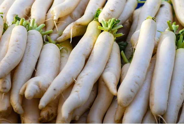 ricetta insalata di daikon