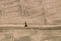 Cnr, come contrastare la desertificazione con agroecologia e riforestazione