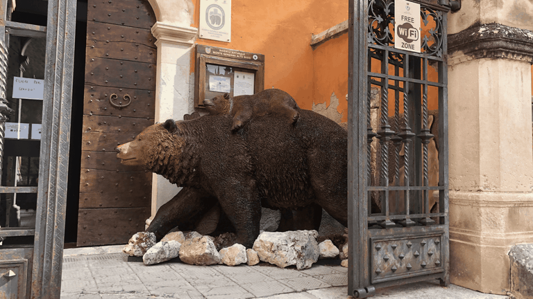 riproduzione orso marsicano